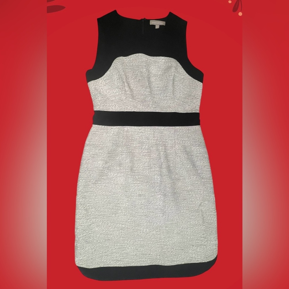 Banana Republic Dress